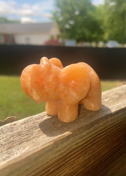 Sunstone Elephant