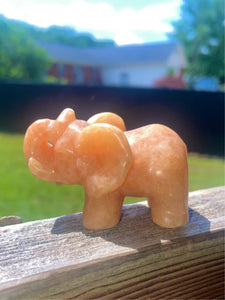 Sunstone Elephant